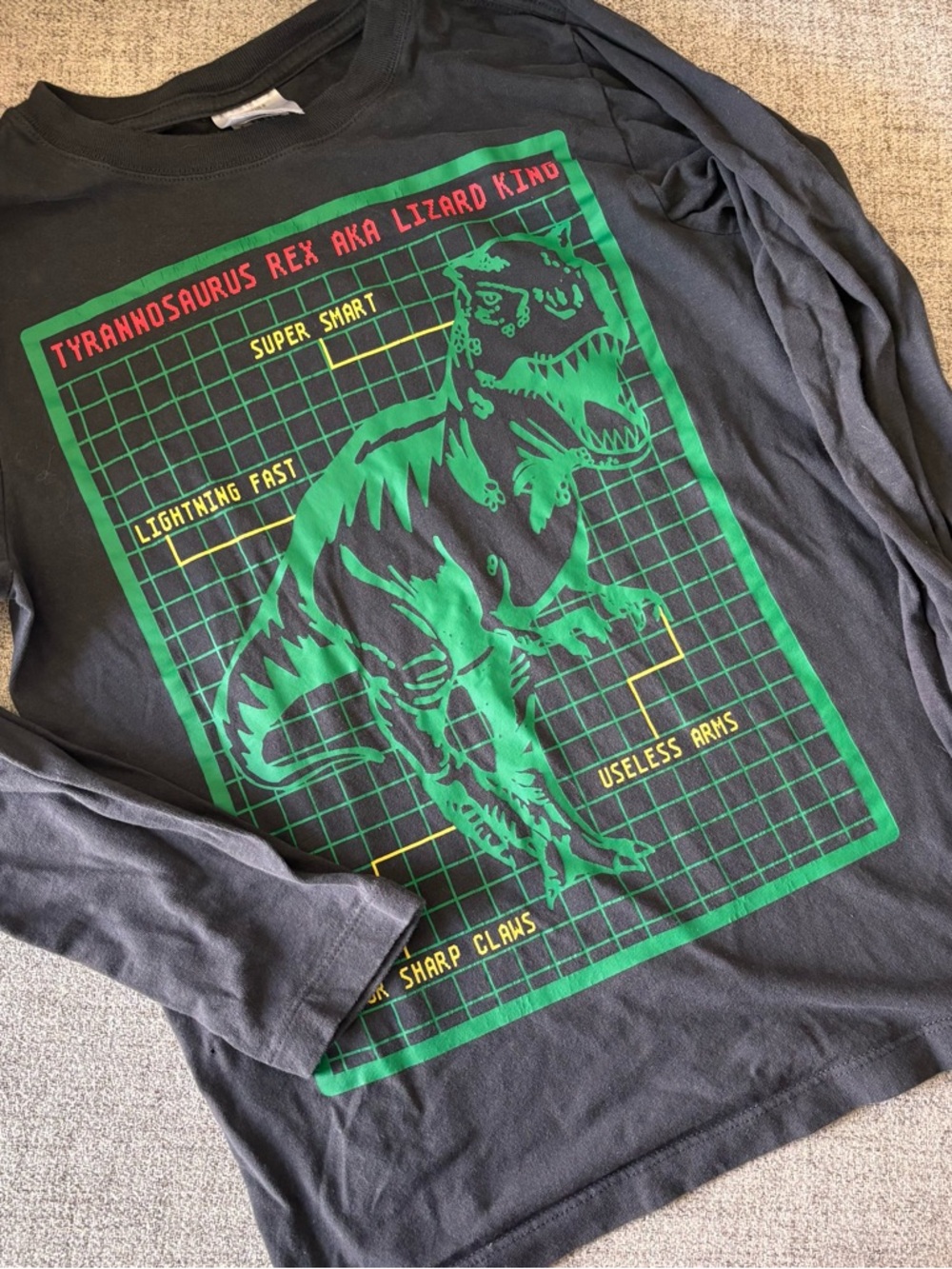 Hanna Andersson Black Tee with Green & Red Dinosaur Grid Graphic